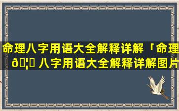 命理八字用语大全解释详解「命理 🦁 八字用语大全解释详解图片」